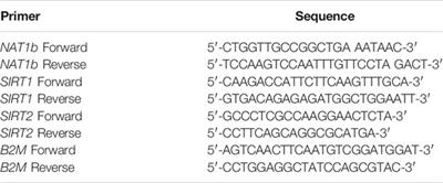 Arylamine N-Acetyltransferase 1 Activity is Regulated by the Protein Acetylation Status